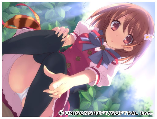 图片[1]-【PC/汉化】Flyable Heart-TouchGAL