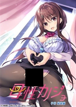 【PC/PE/汉化】母性女友呵护有加 – 母性カノジョ -子宮 帰還編--TouchGAL