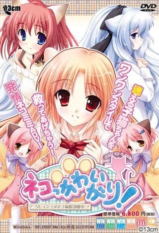 【PC/汉化】猫猫病院 – ネコっかわいがり！ ～クレインイヌネコ病院診察中～-TouchGAL