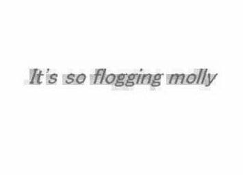 【PC/汉化】It’s so flogging molly-TouchGAL