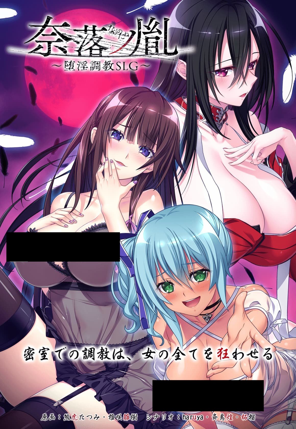 【PC/汉化】奈落之胤~堕银教育 – 奈落ノ胤 ～堕淫調教SLG～-TouchGAL